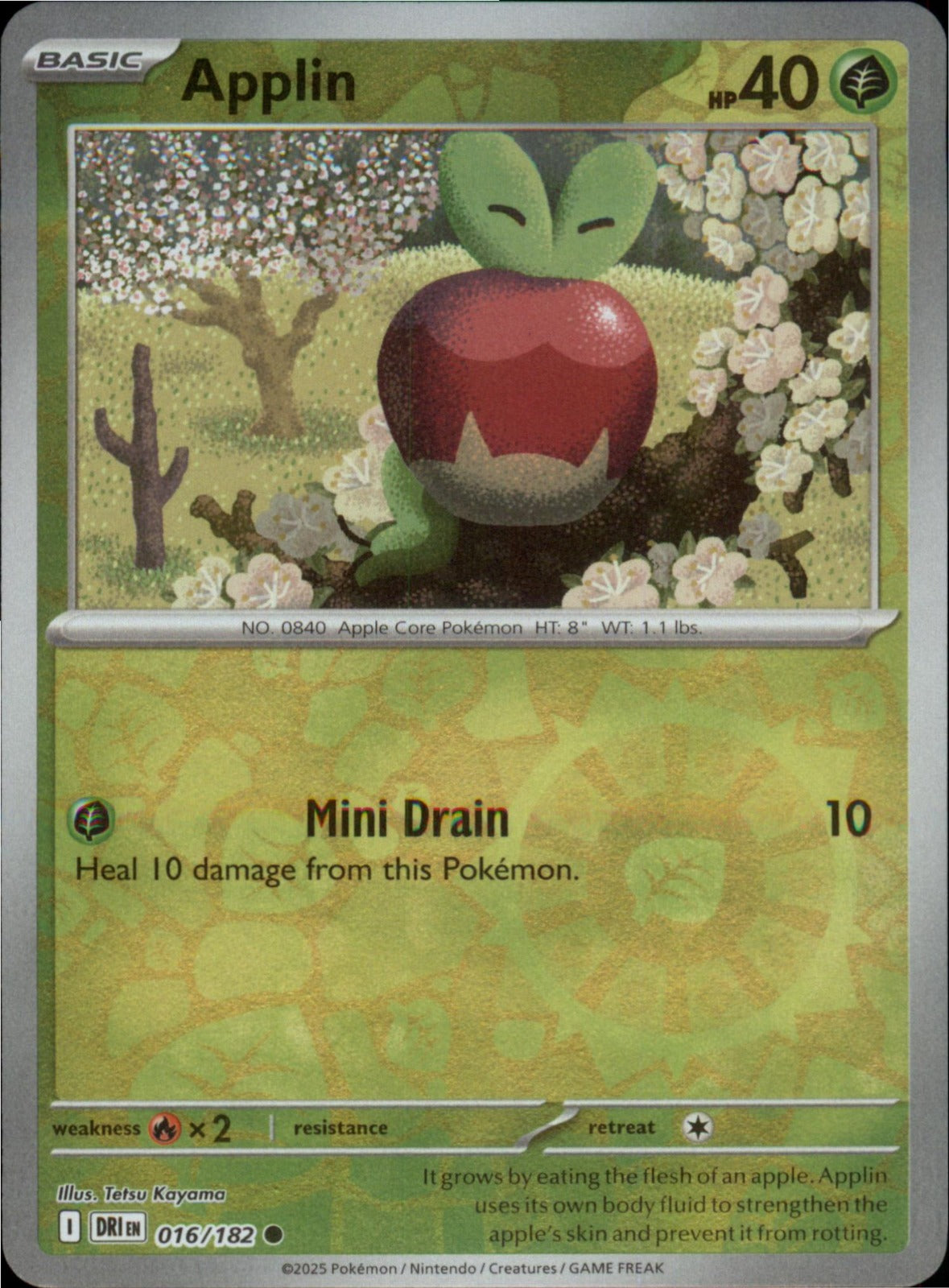 Pokemon Applin Common SV10: Destined Rivals 016/182 NM Reverse Holo