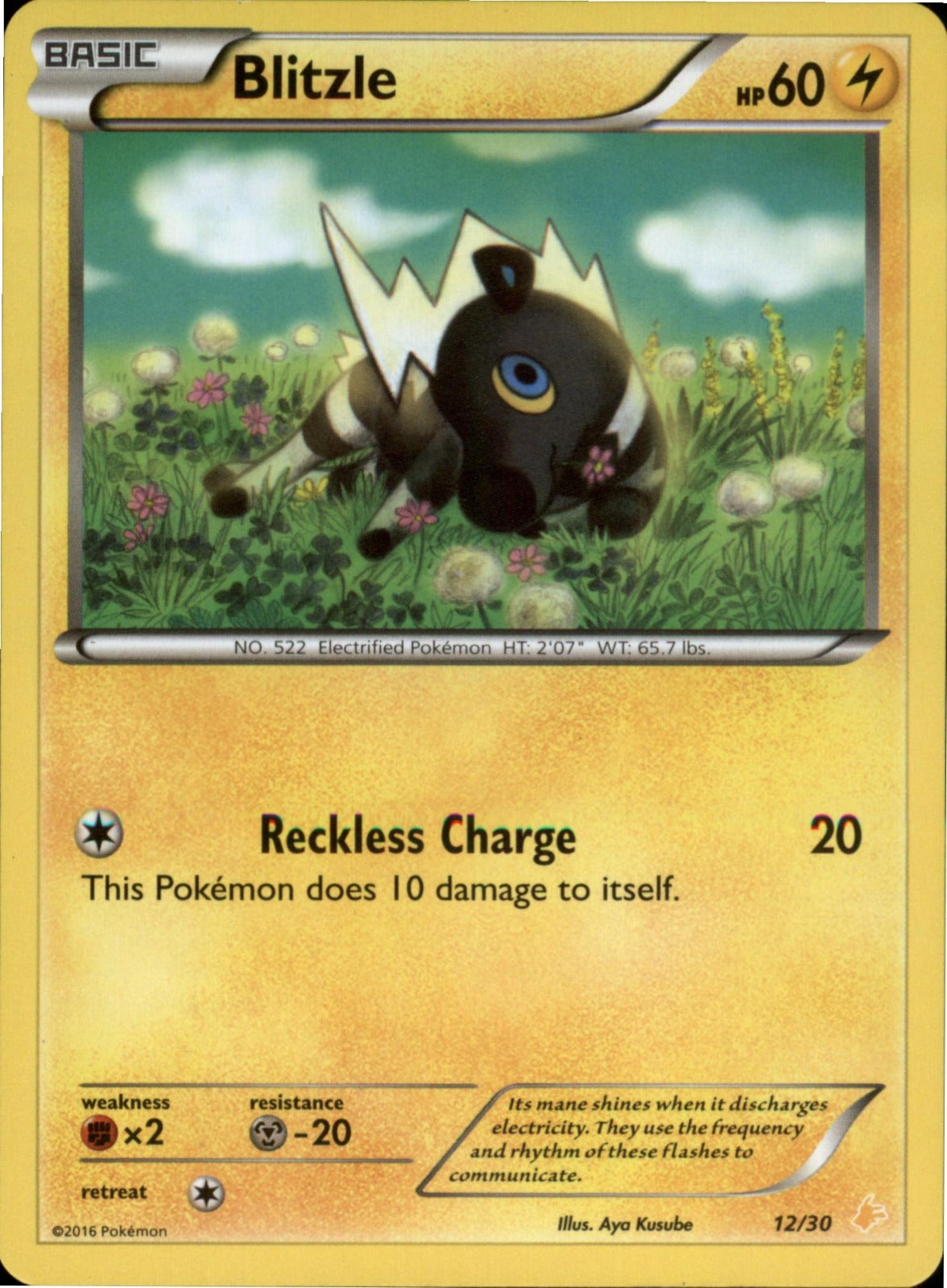 Pokemon Blitzle (12) Common XY Trainer Kit: Pikachu Libre & Suicune 12/30 LP