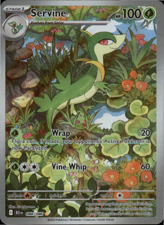 Pokemon Servine Illustration Rare SV: Black Bolt 088/086 NM Holo