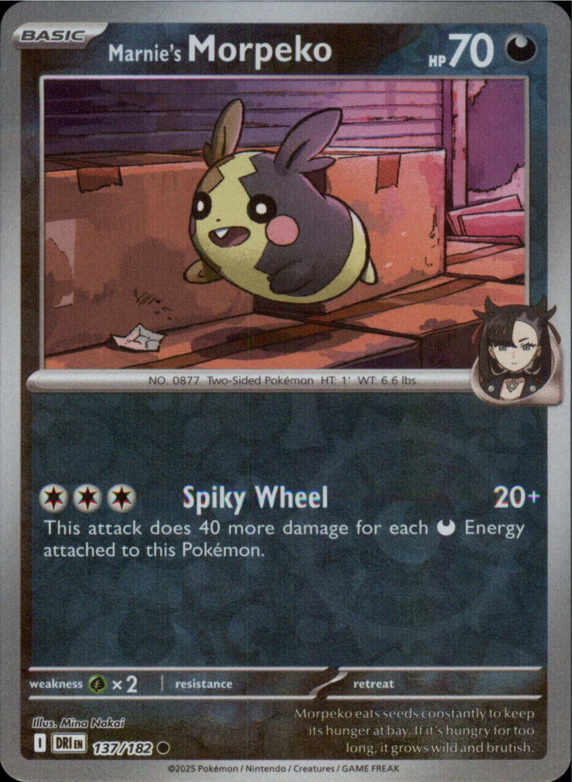 Pokemon Marnie's Morpeko Common SV10: Destined Rivals 137/182 NM Reverse Holo